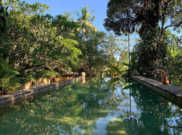 Bed and Breakfast Sri Yoga Shala Унаватуна Экстерьер фото